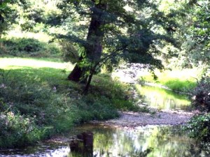 lieu de drague nature toulouse