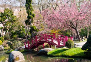 sortie jardin japonais toulouse